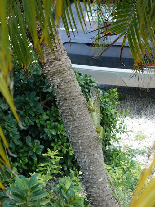 MIA_2023-08-11 11-52-34_RX_05845